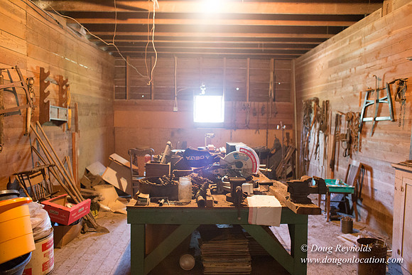 Randi's Barn