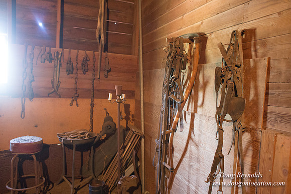 Randi's Barn