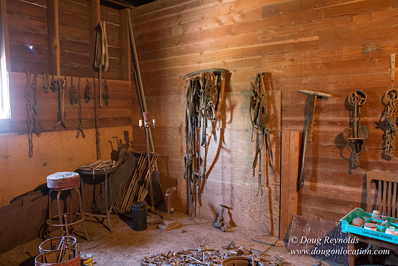 Randi's Barn