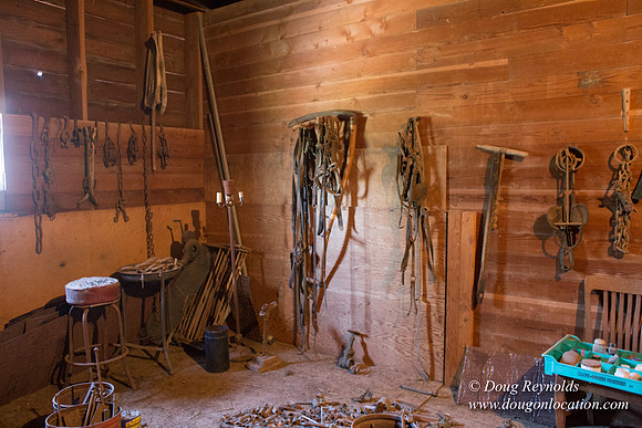 Randi's Barn