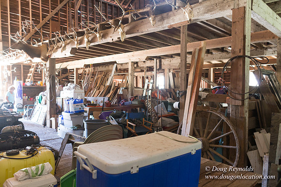 Randi's Barn