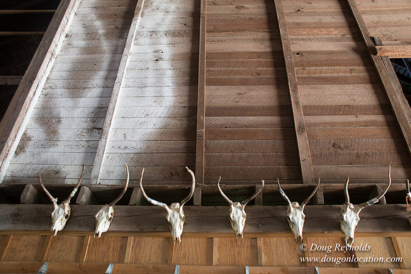 Randi's Barn