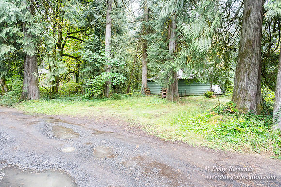 Collins Cabin
