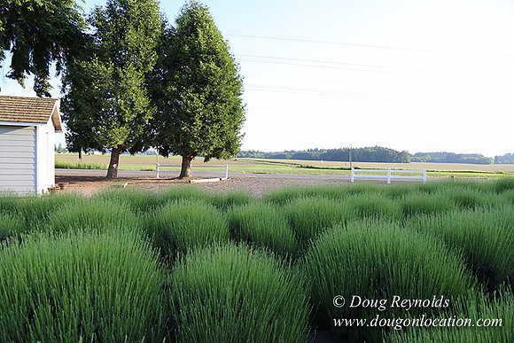 Toms Rd Side-6378