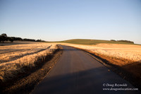 Tom's Driveway