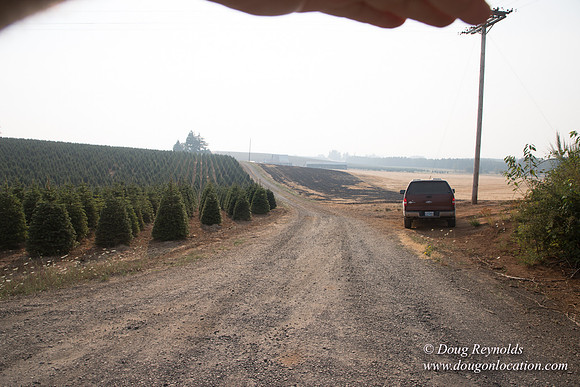 Gens Back Driveway