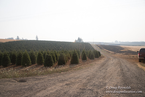 Gens Back Driveway