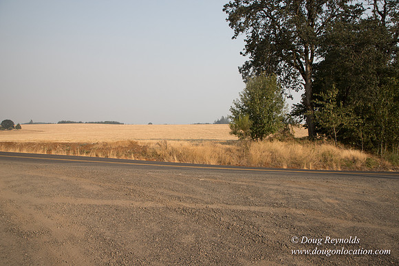 Gens Back Driveway