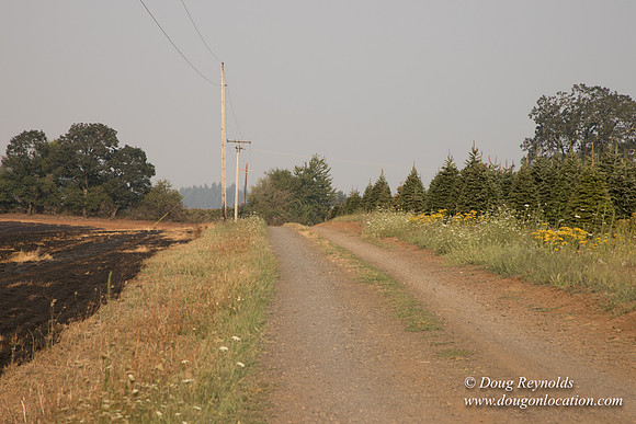 Gens Back Driveway