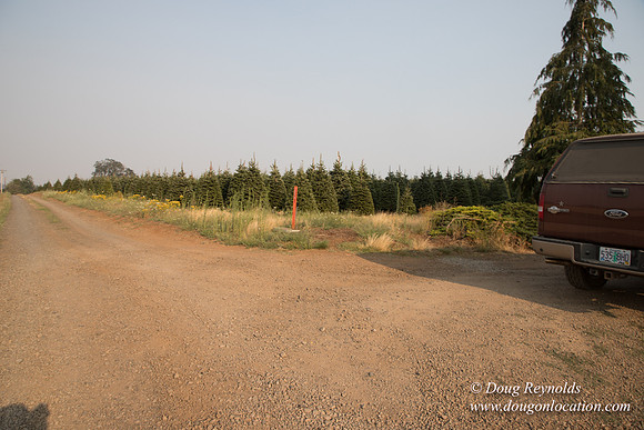 Gens Back Driveway