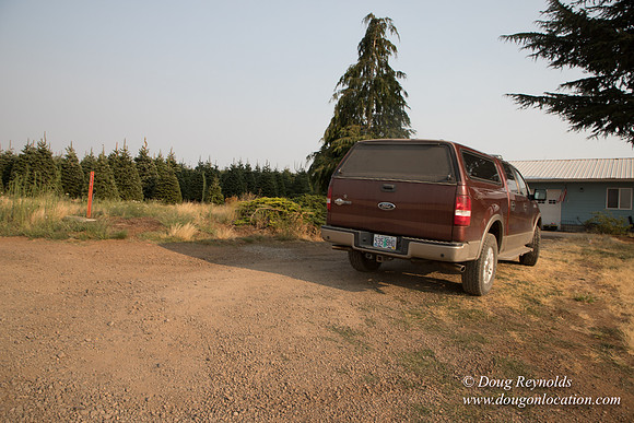 Gens Back Driveway