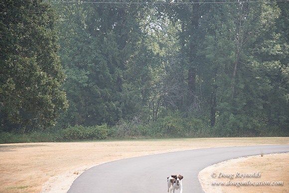 Jeff Driveway