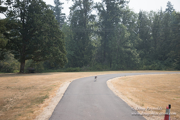Jeff Driveway