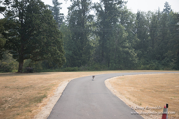 Jeff Driveway