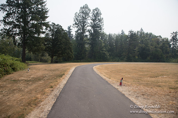 Jeff Driveway