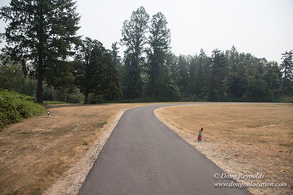 Jeff Driveway