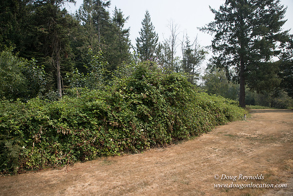Jeff Driveway