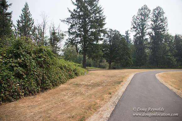 Jeff Driveway