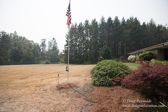 Jeff Driveway
