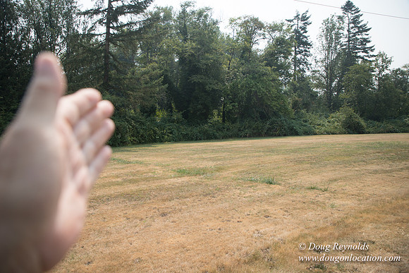 Jeff Driveway