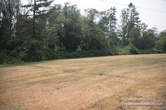 Jeff Driveway