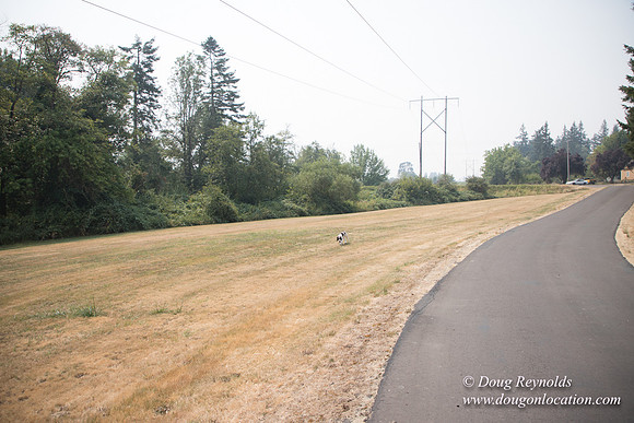 Jeff Driveway