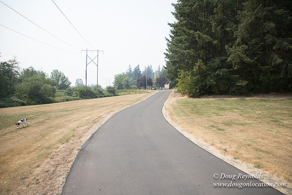 Jeff Driveway