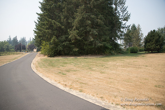 Jeff Driveway