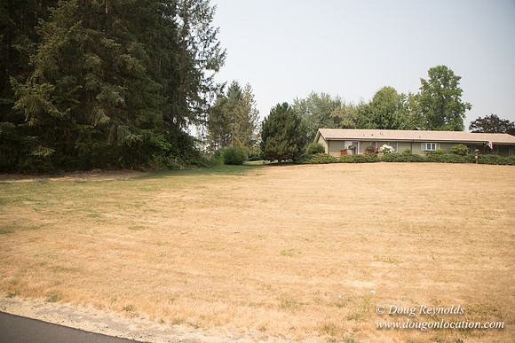 Jeff Driveway