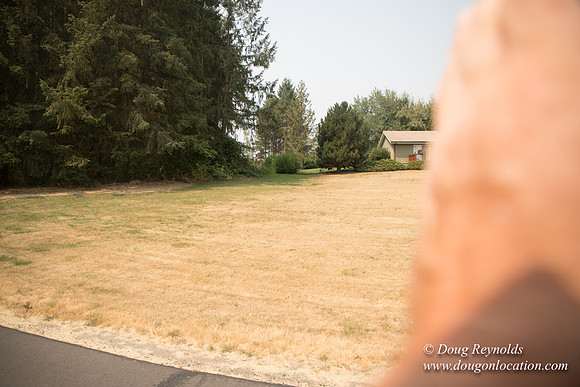 Jeff Driveway