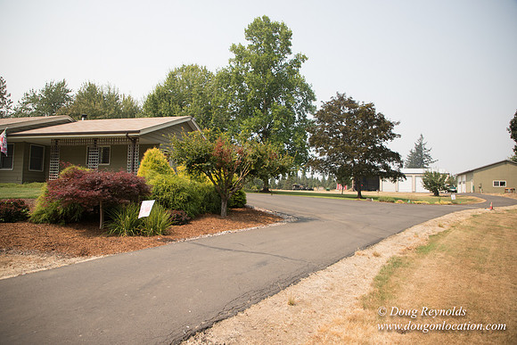 Jeff Driveway