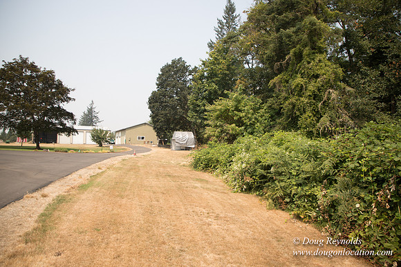 Jeff Driveway