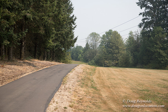 Jeff Driveway