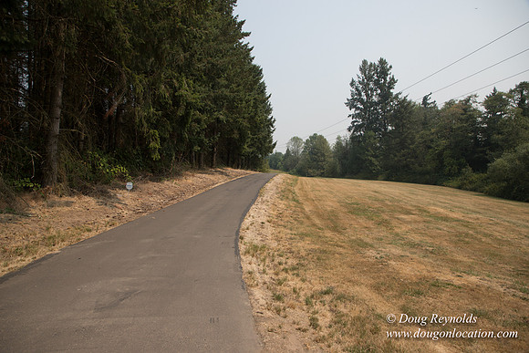Jeff Driveway