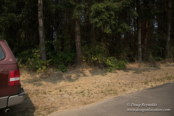 Jeff Driveway