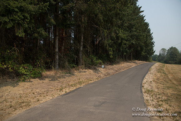 Jeff Driveway