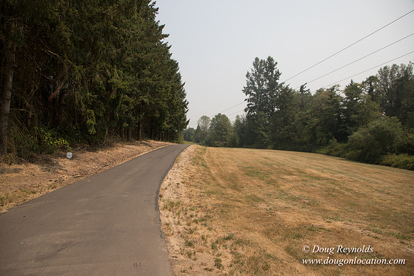 Jeff Driveway