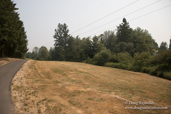 Jeff Driveway