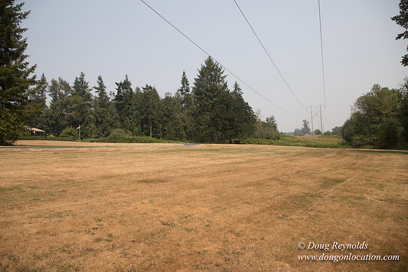 Jeff Driveway