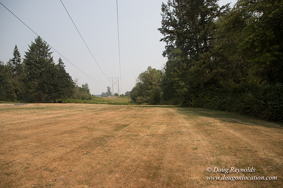 Jeff Driveway