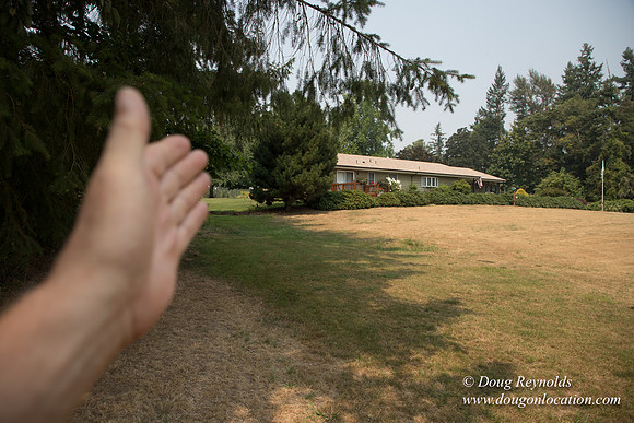 Jeff Driveway