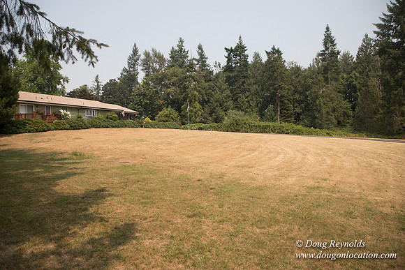 Jeff Driveway