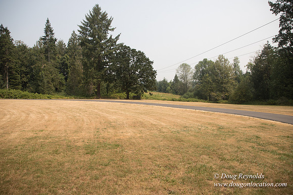 Jeff Driveway