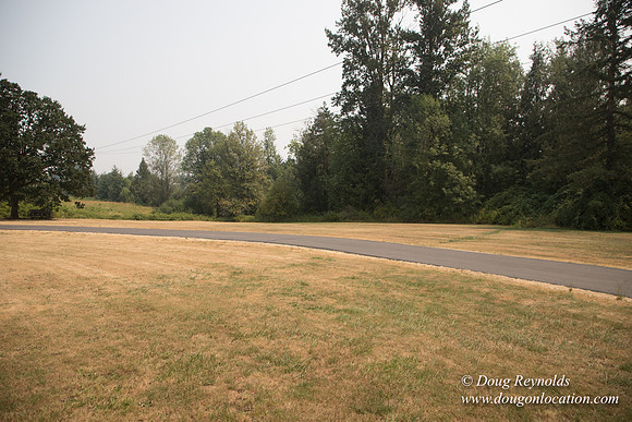 Jeff Driveway