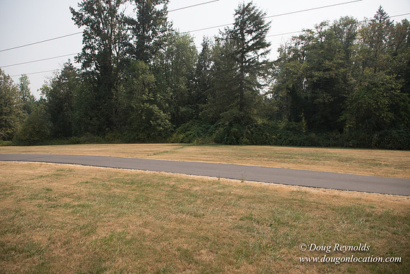 Jeff Driveway