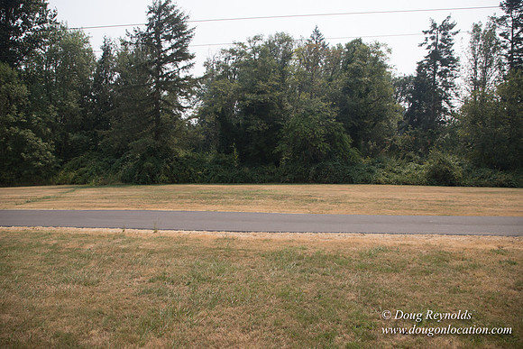 Jeff Driveway