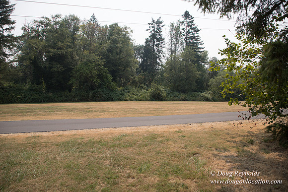 Jeff Driveway