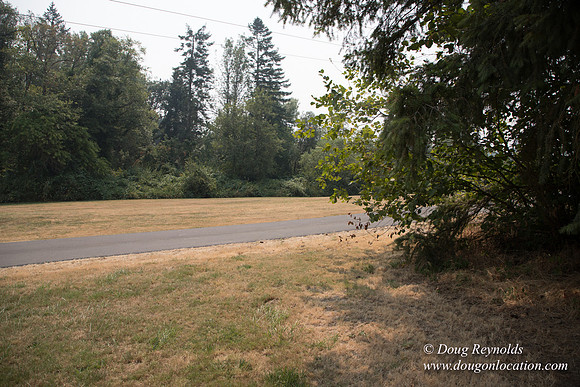 Jeff Driveway