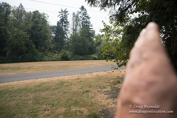 Jeff Driveway