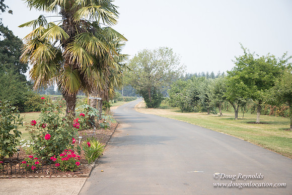 Malafy's Driveway